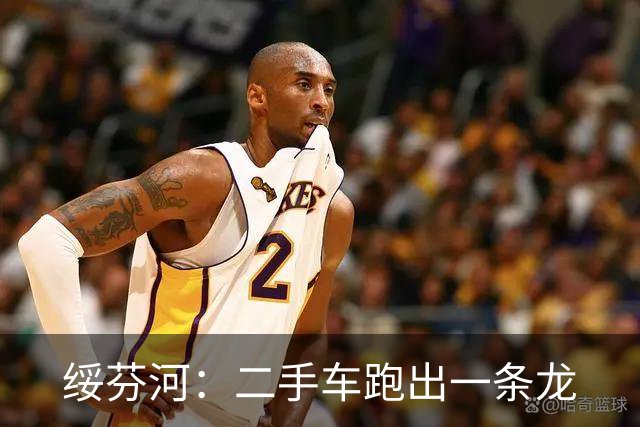 绥芬河：二手车跑出一条龙